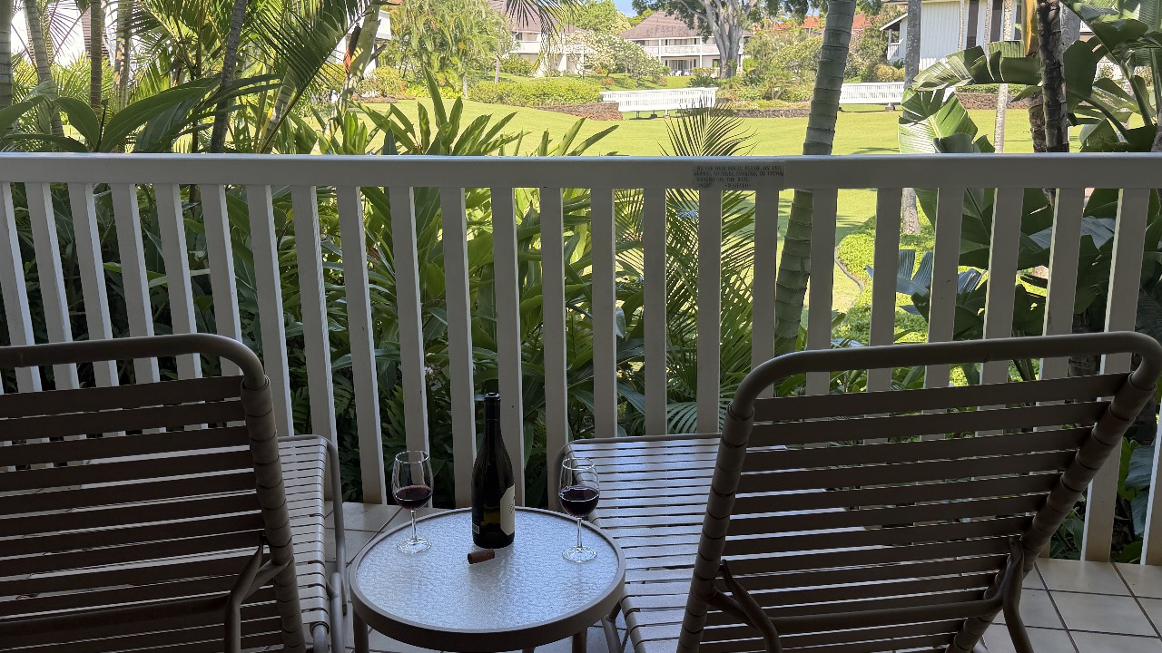 View from the Lanai